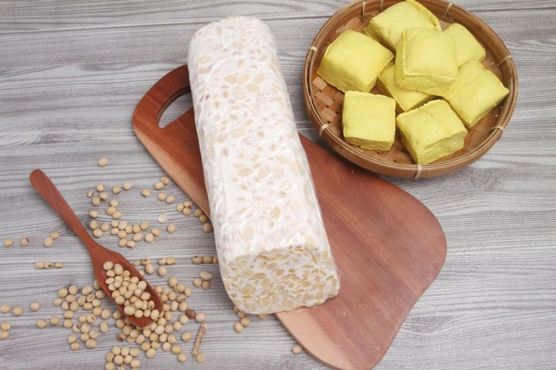 Tahu dan Tempe
